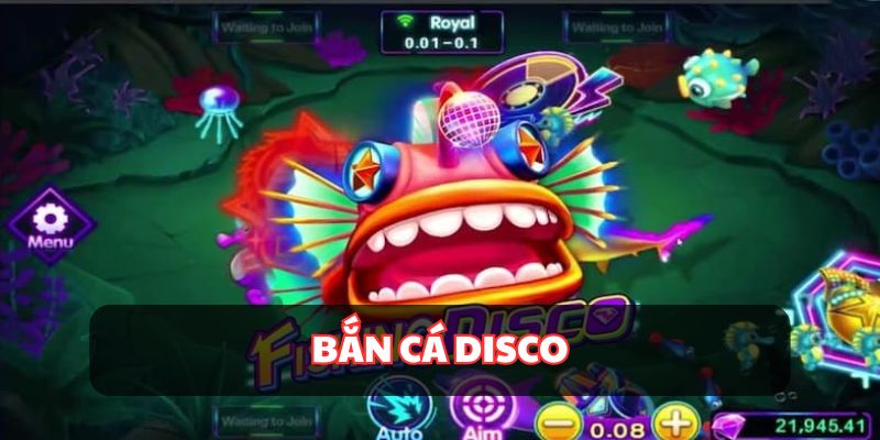 Bắn Cá Disco - Cuộc Phiêu Lưu Kịch Tính Trong Đại Dương