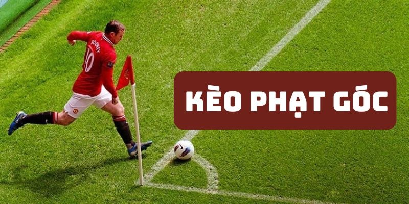 Khái niệm cơ bản về hình thức cá độ kèo phạt góc